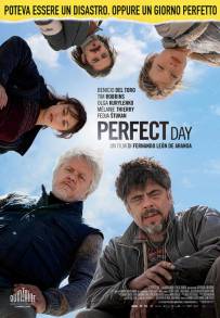 Perfect Day